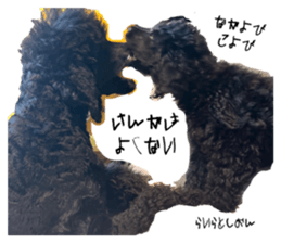 725143184