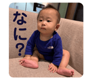 725154684