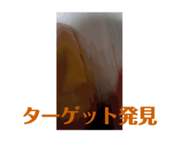 725168810