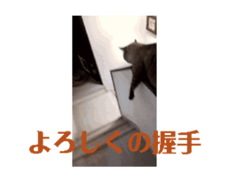 725168811