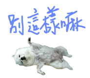 72518361