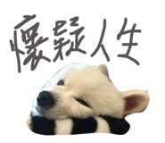 72518365