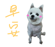 72518368