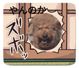 725190966