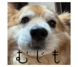 725202209