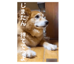 725202230
