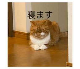 725217720