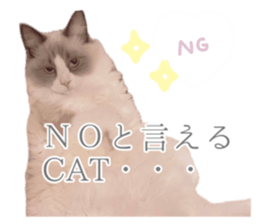 725221756