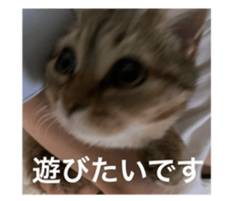 725275613