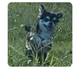 725325634