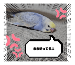 725330060