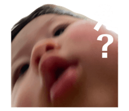 725330403