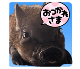 725334076