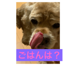 725335069