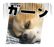 725370836