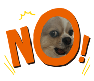 725370839