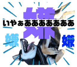 725388194