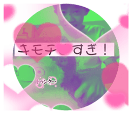 725403094