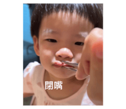 725464377