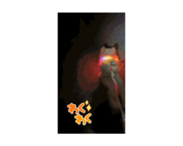 725508409