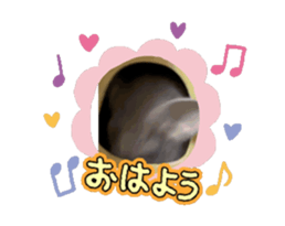 725509169