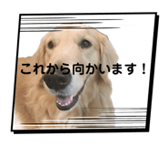 725558196