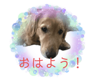 725558197