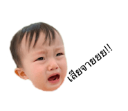 725559005