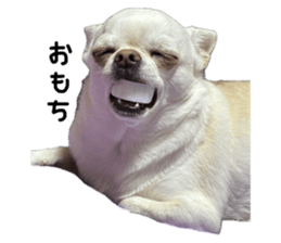 725559091