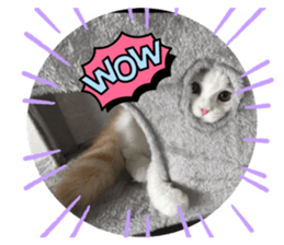 725576164