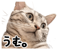 725578708