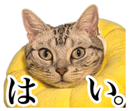 725578711
