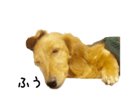 725579723