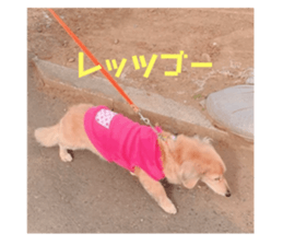 725586965