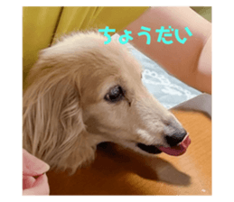 725586967