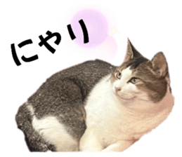 725587242