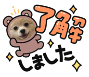 725595702