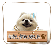725595708