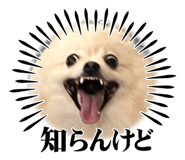 725595710