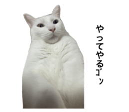 725605420