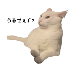 725605424