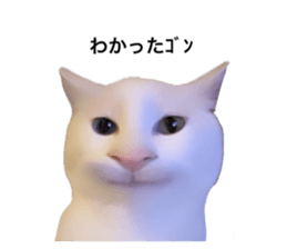 725605426
