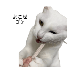 725605427