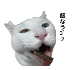 725605431