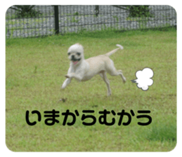 725620390