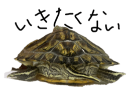 725640934