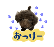 725646547