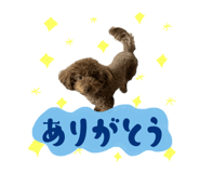 725646555