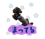 725646556
