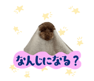 725646564